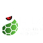 HLZ Friesenheim-Hochdorf II